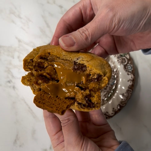Biscoffasaurus Rex cookie butter cookies with Biscoff chunks