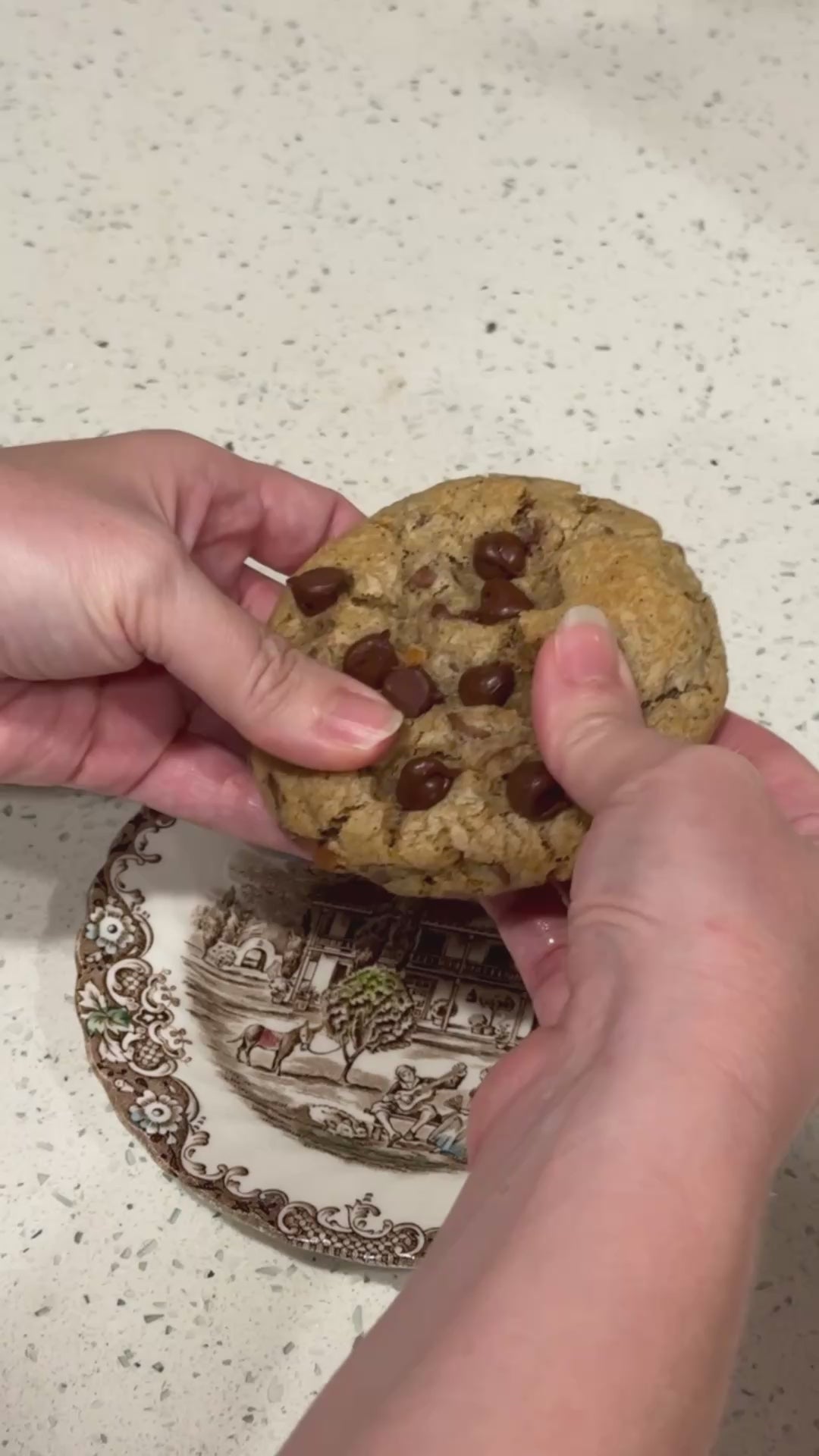 T-Rex Caramel Treasure