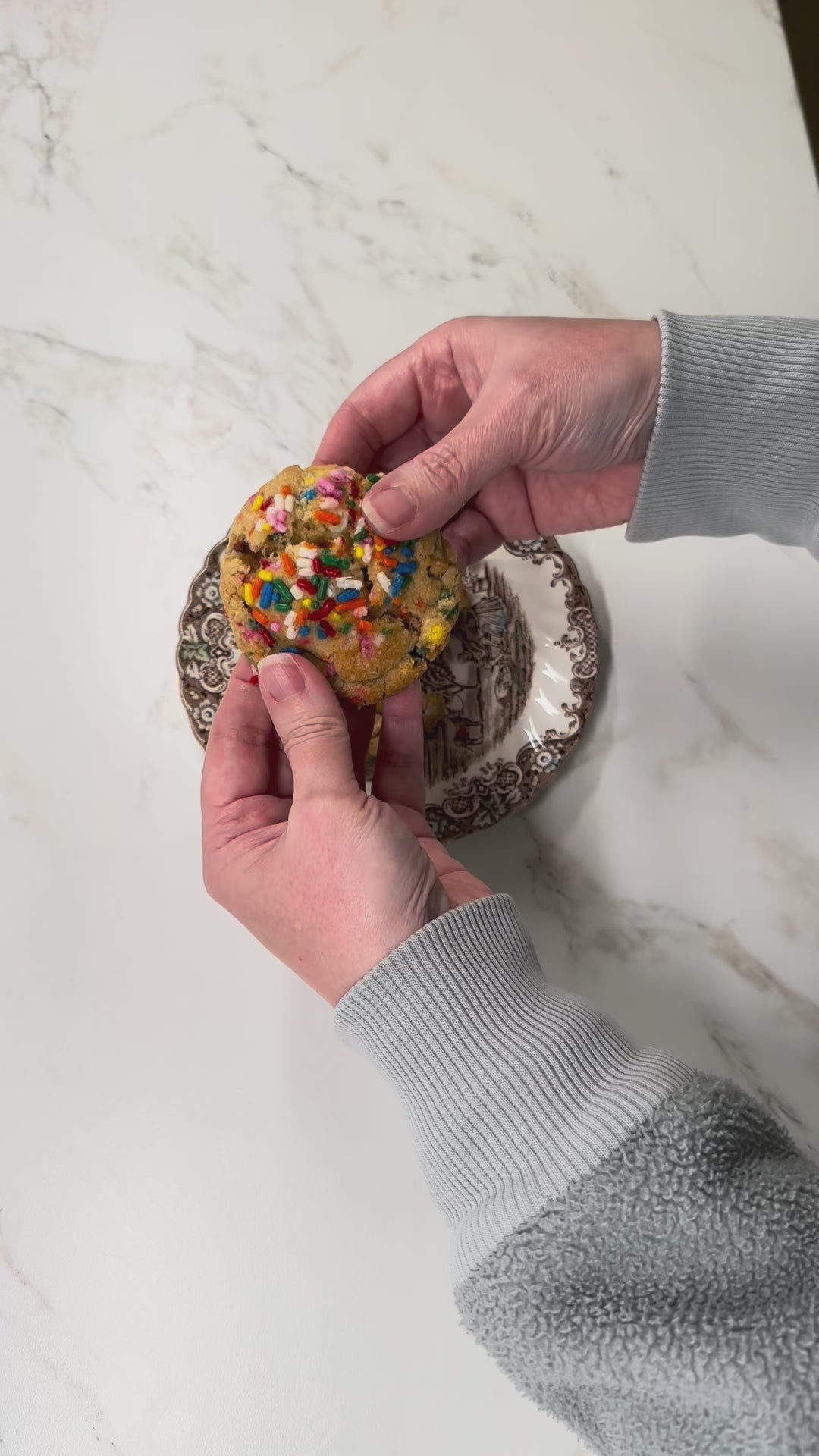 Jurassic Golden Funfetti (6)